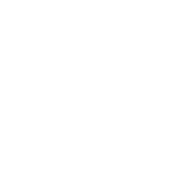 Home Page - Roots Transition